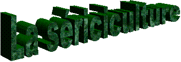 La sriciculture